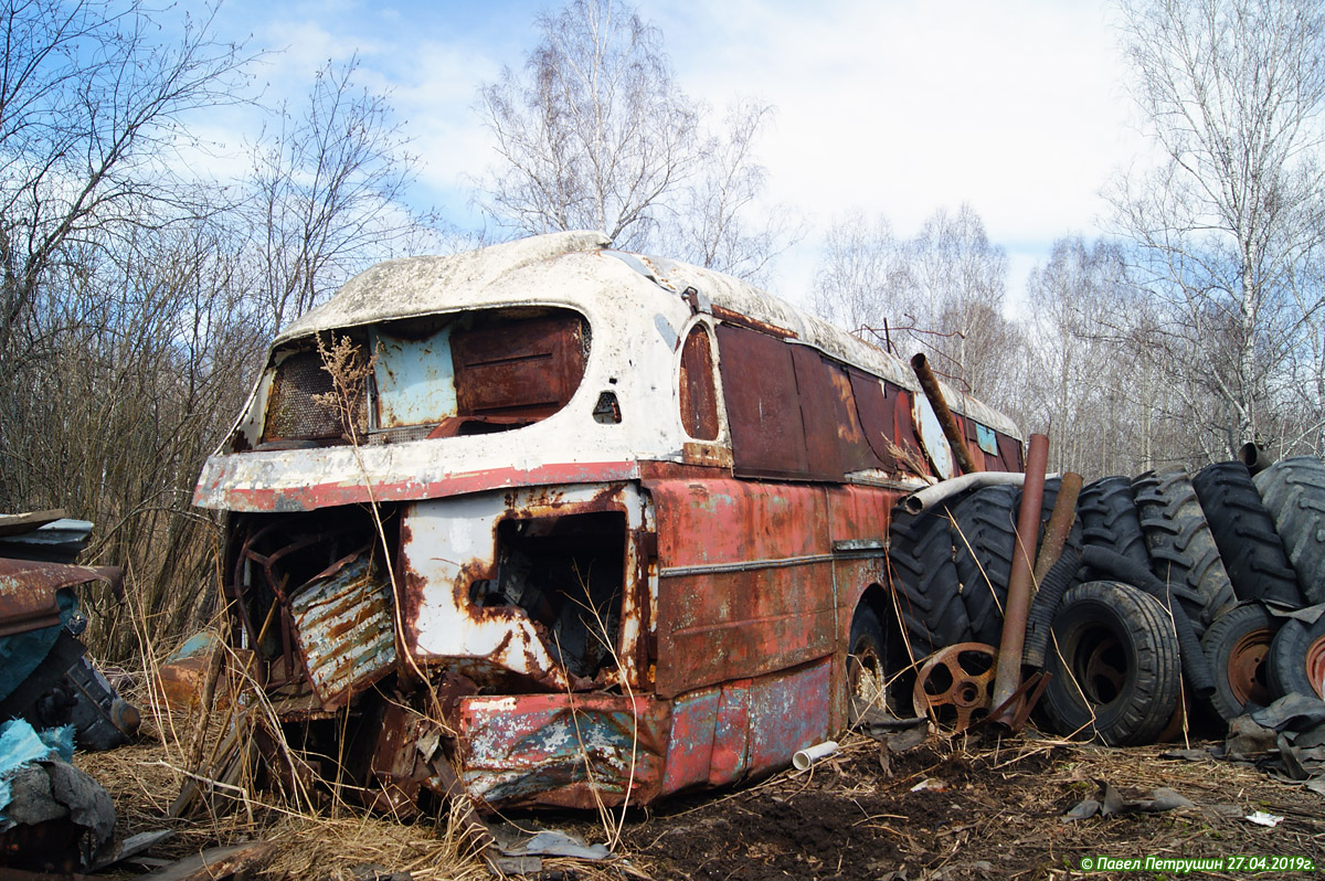 Кемеровская область - Кузбасс, Ikarus  55.14 Lux № 697