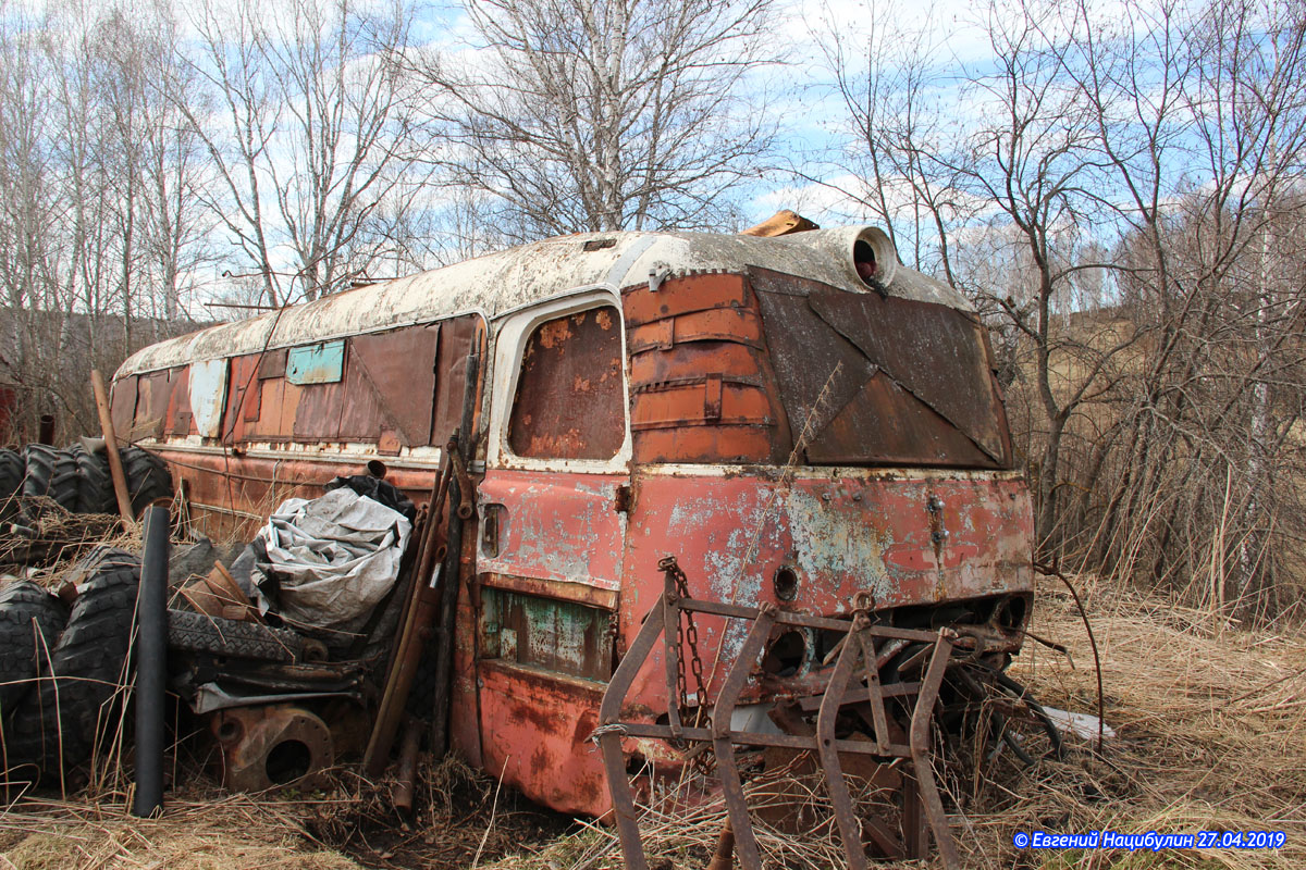 Кемеровская область - Кузбасс, Ikarus  55.14 Lux № 697