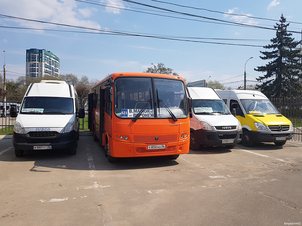 Воронежская область, София (IVECO Daily 50C15V) № К 880 ХС 36; Воронежская область, ПАЗ-320414-04 "Вектор" (1-2) № С 850 НО 36; Воронежская область — Автобусные вокзалы, станции, конечные остановки и АТП