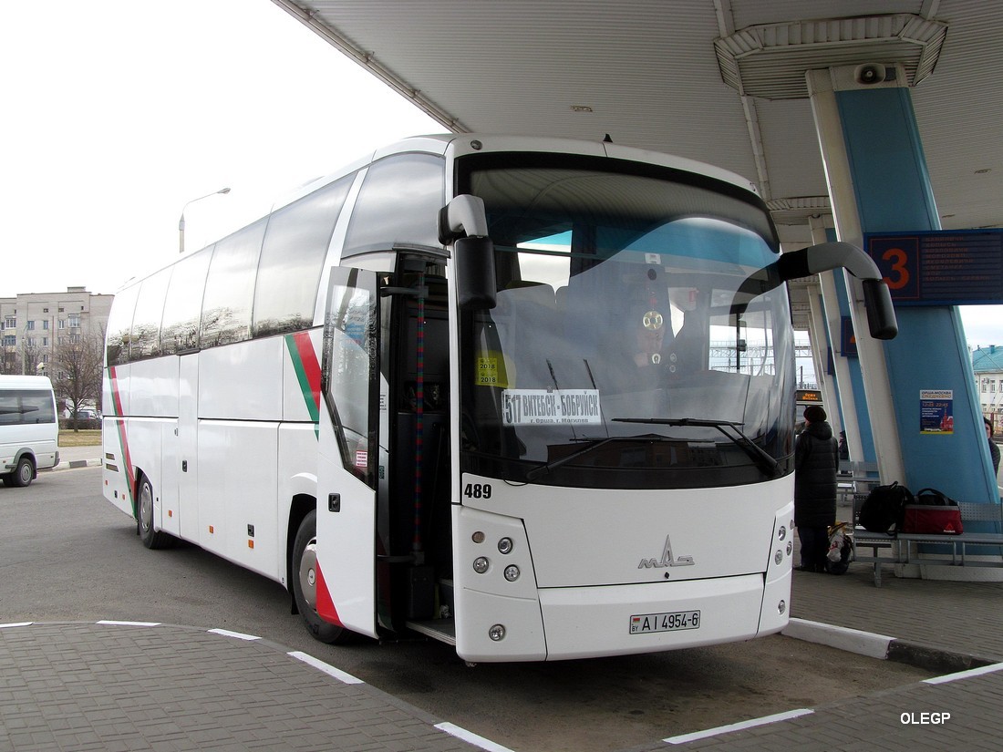Покупка билетов на автобус MAZ 251062, расписание и цены следования из Москвы Ав