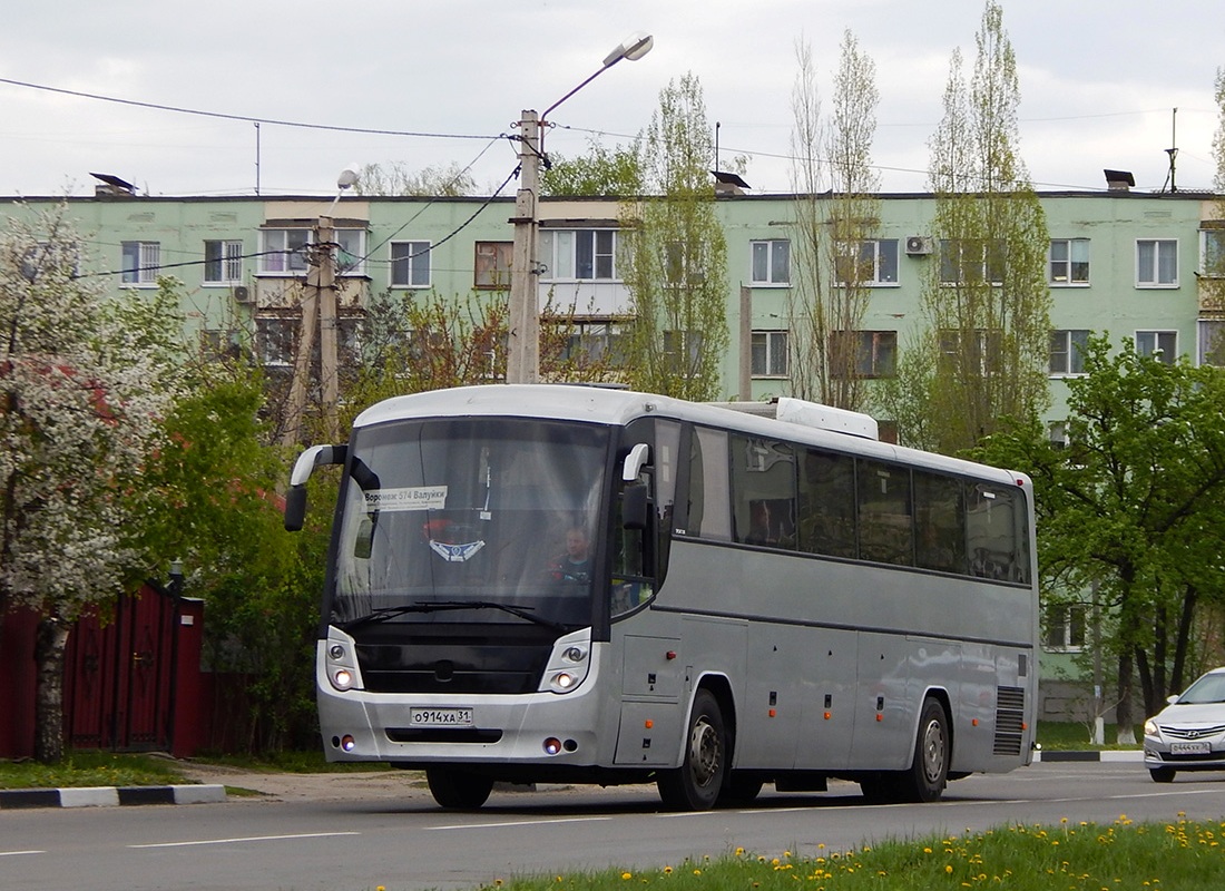 Белгородская область, ГолАЗ-529114-1x № О 914 ХА 31