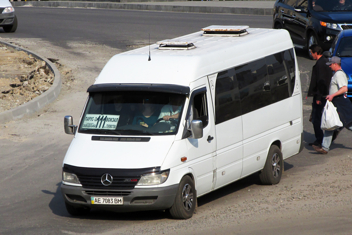 Днепропетровская область, Mercedes-Benz Sprinter W903 313CDI № AE 7083 BM