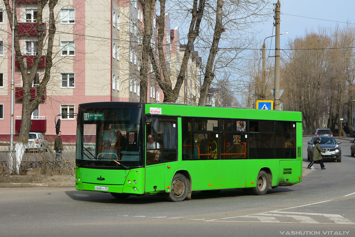 Архангельская область, МАЗ-206.067 № М 668 СУ 29