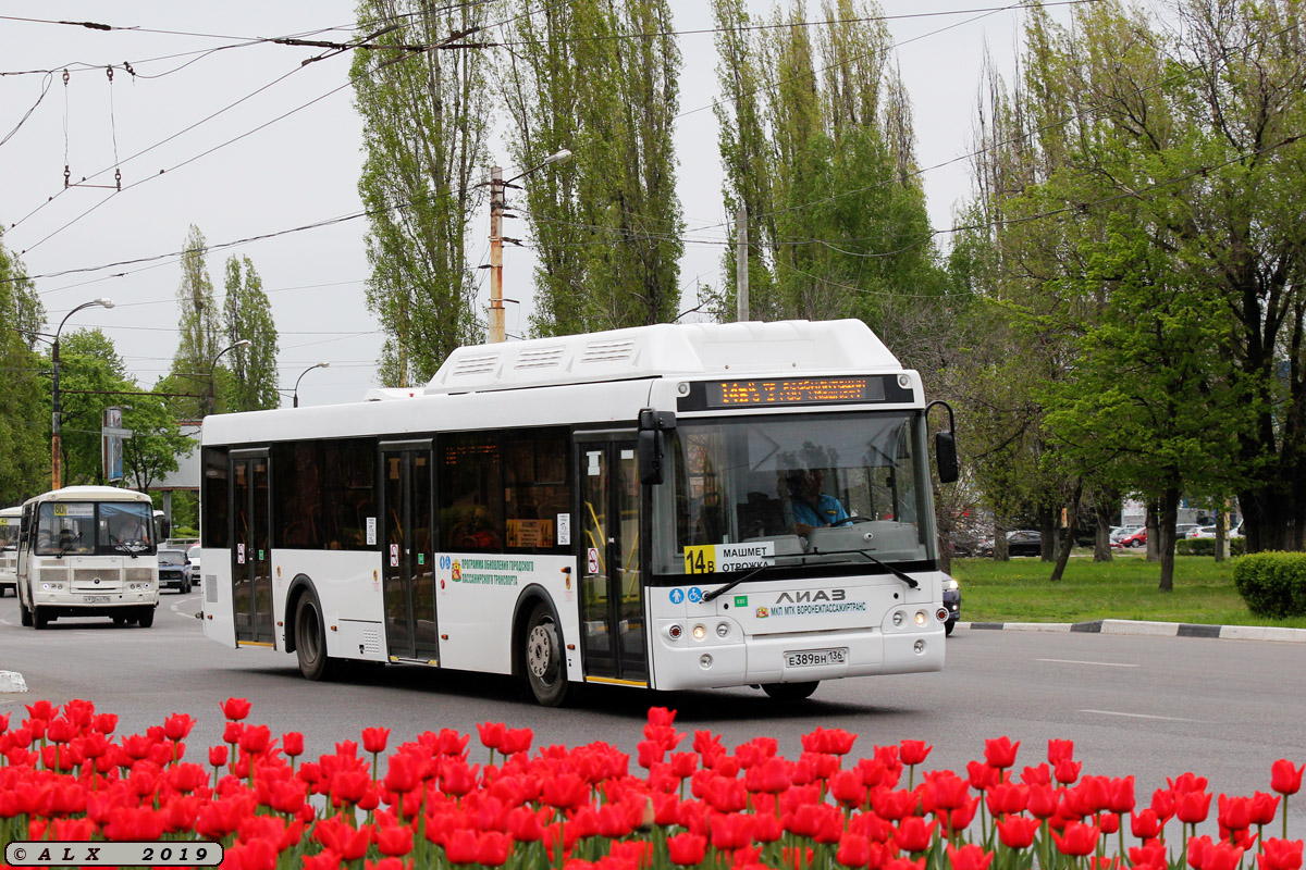 Автобусы воронеж