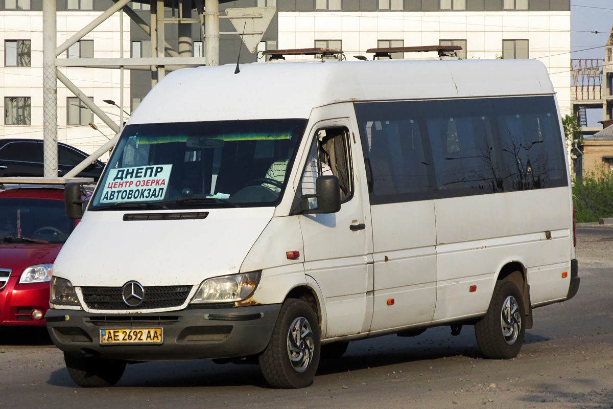 Днепропетровская область, Mercedes-Benz Sprinter W903 313CDI № 4242