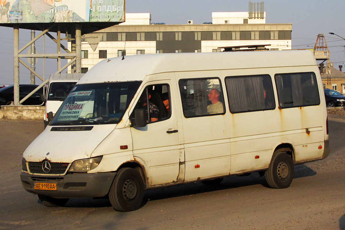 Днепропетровская область, Mercedes-Benz Sprinter W903 313CDI № AE 9190 AA