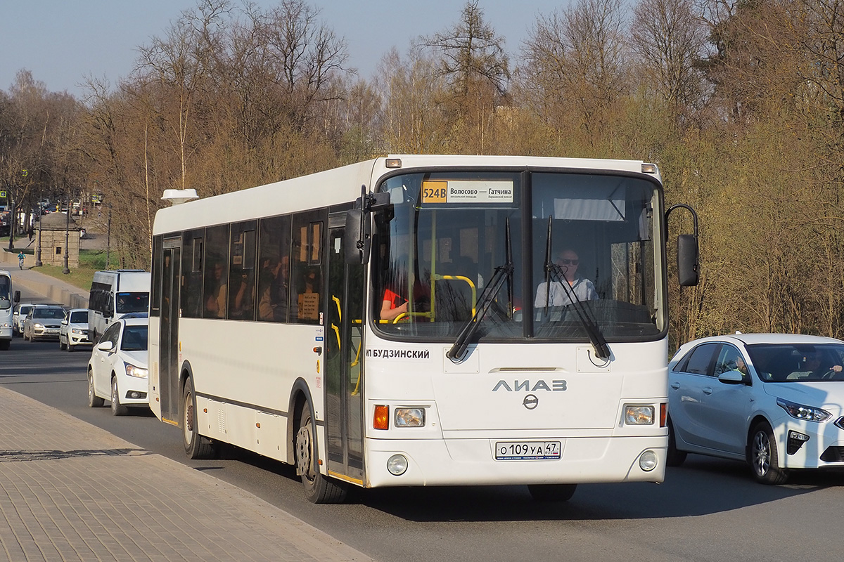 Ленинградская область, ЛиАЗ-5256.65 № О 109 УА 47