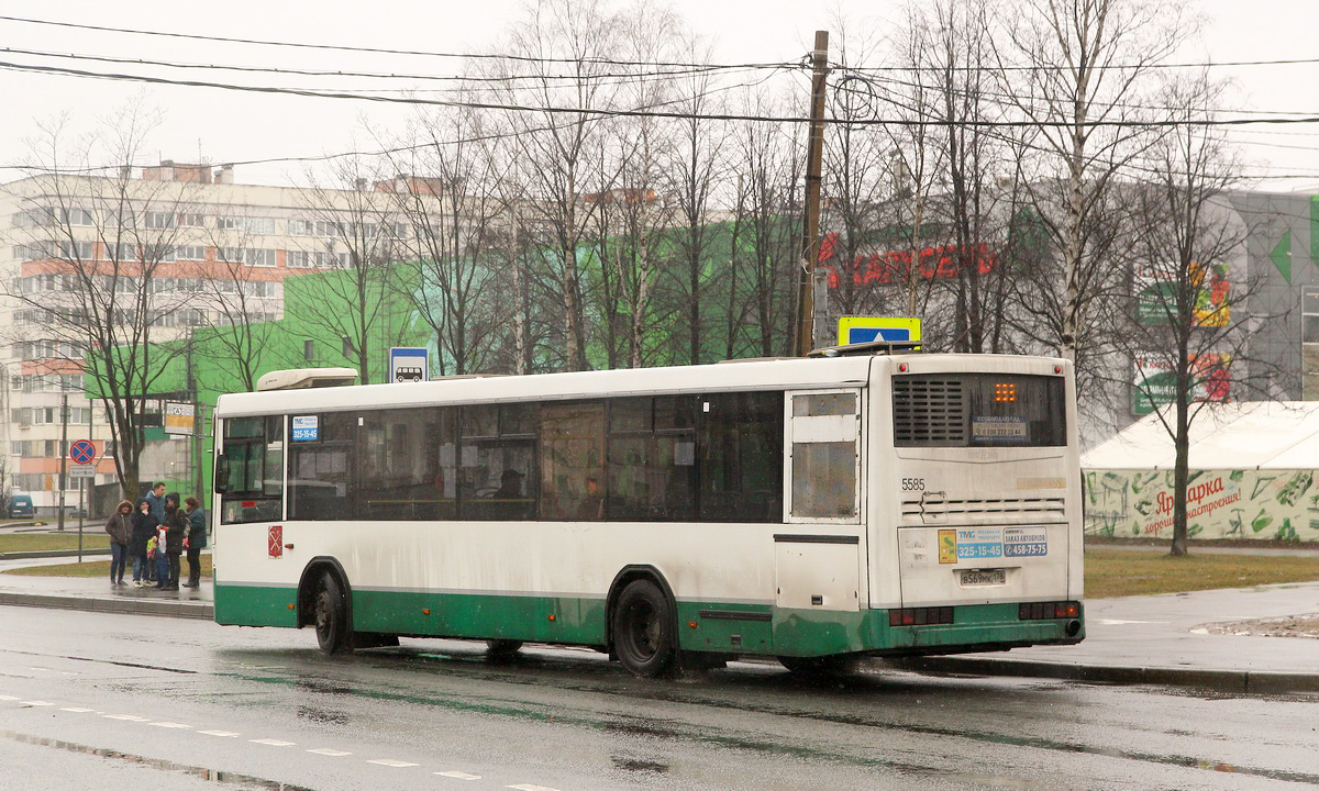 Sankt Petersburg, NefAZ-52994-40-42 Nr 5585