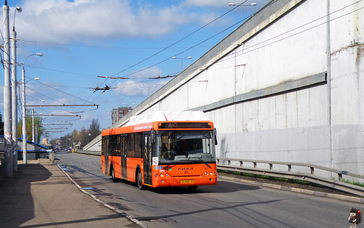 Нижегородская область, ЛиАЗ-5292.67 (CNG) № 15125