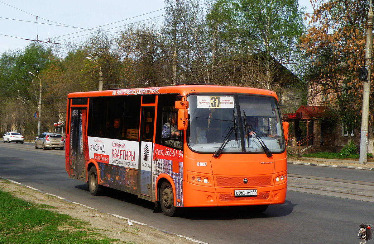 Нижегородская область, ПАЗ-320414-04 "Вектор" № 31037