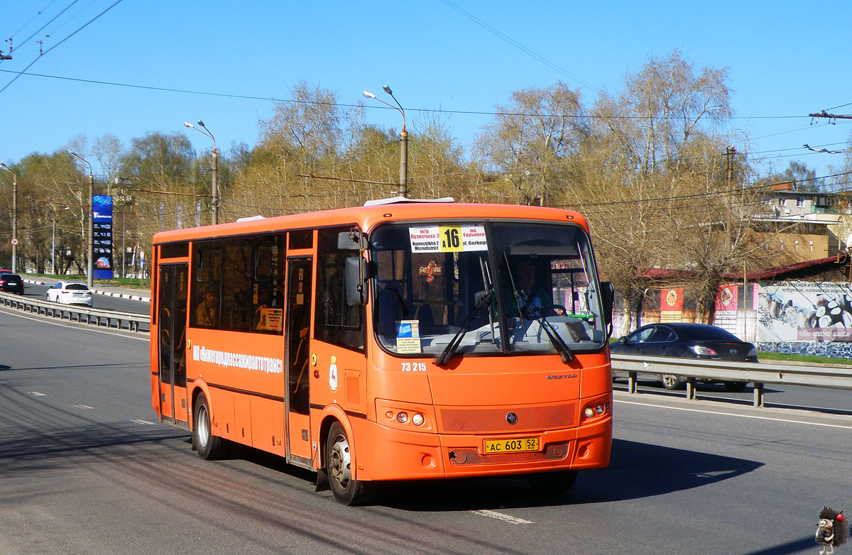 Нижегородская область, ПАЗ-320414-05 "Вектор" (1-2) № 73215