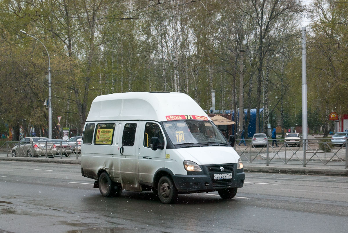 Новосибирская область, Луидор-225000 (ГАЗ-322133) № С 372 УУ 154