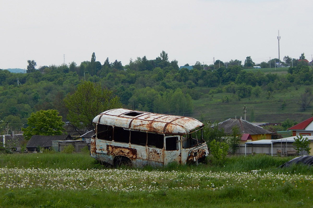 Όμπλαστ του Μπέλγκοροντ — Buses number free