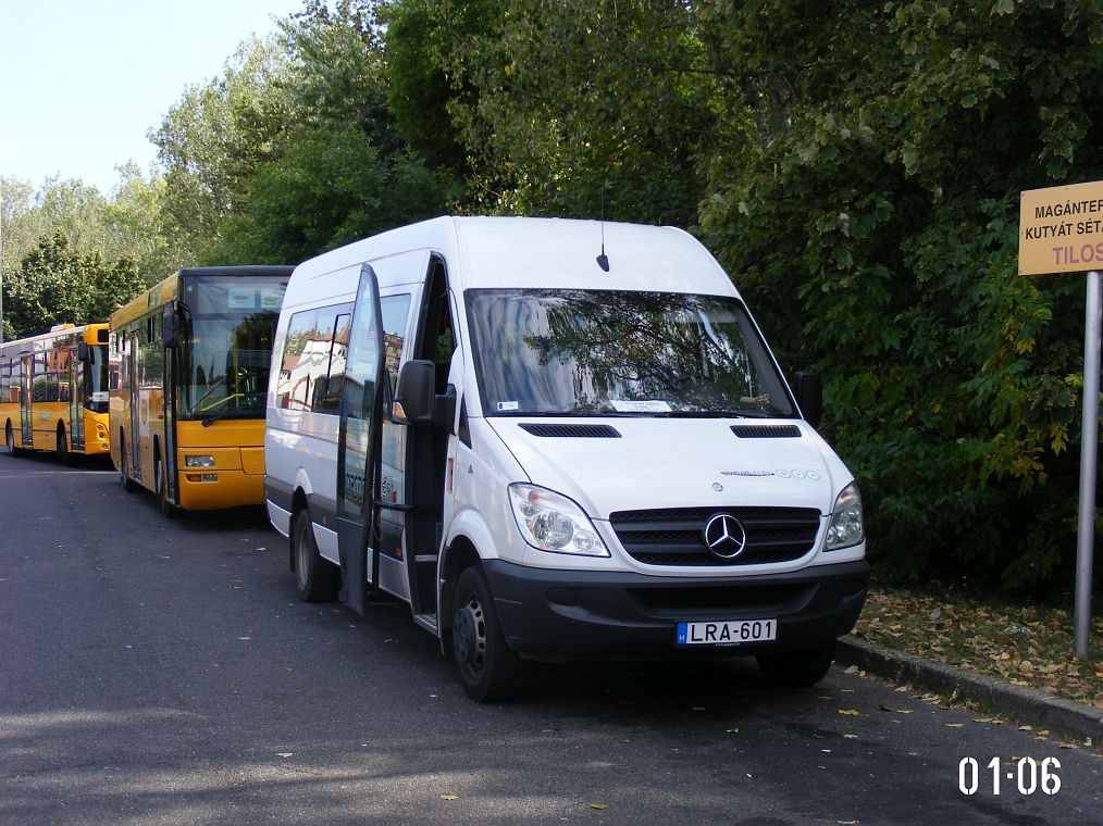 Венгрия, JBus Sprinter № LRA-601