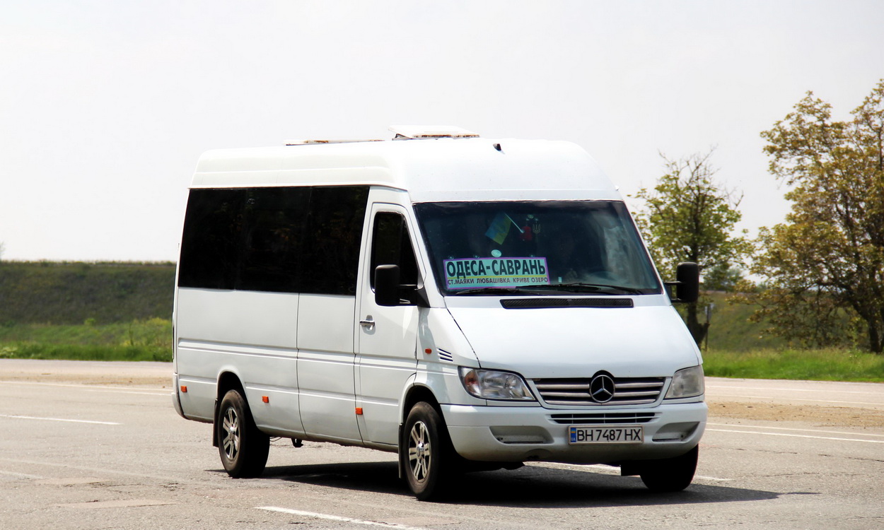 Одесская область, Mercedes-Benz Sprinter W903 313CDI № BH 7487 HX