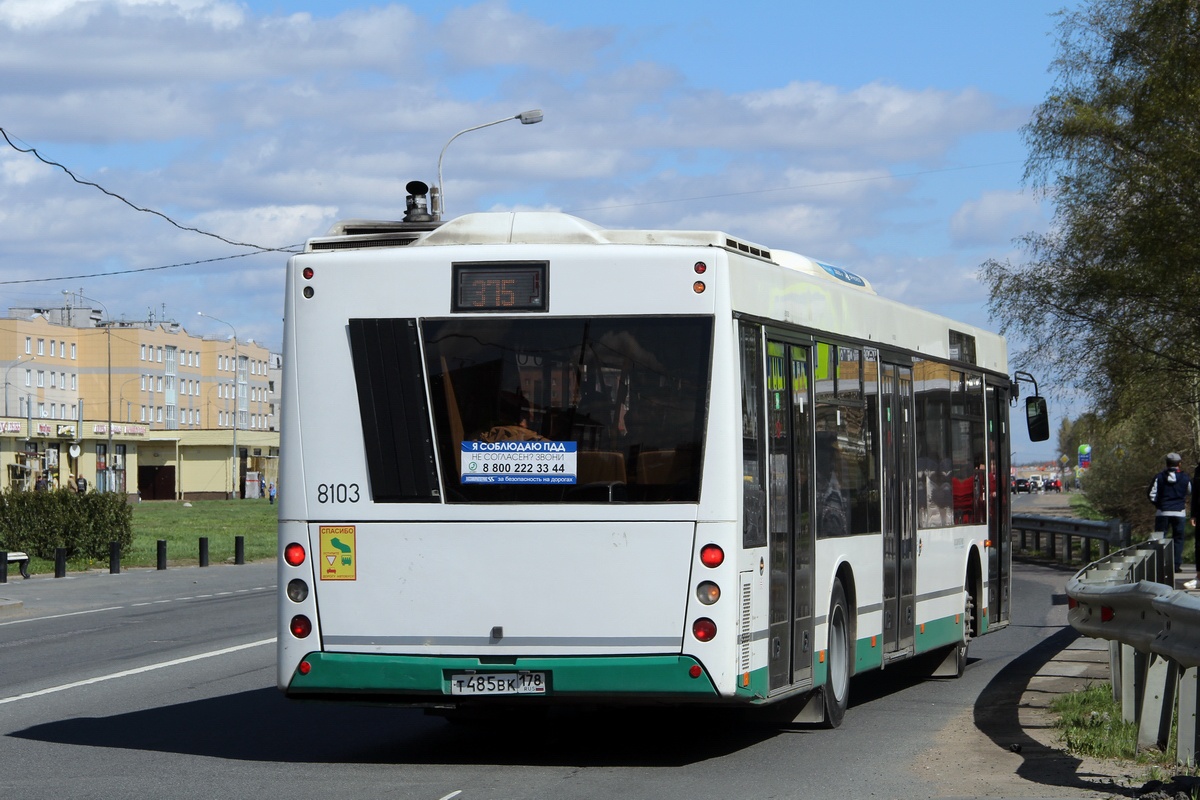 Санкт-Петербург, МАЗ-203.085 № 8103