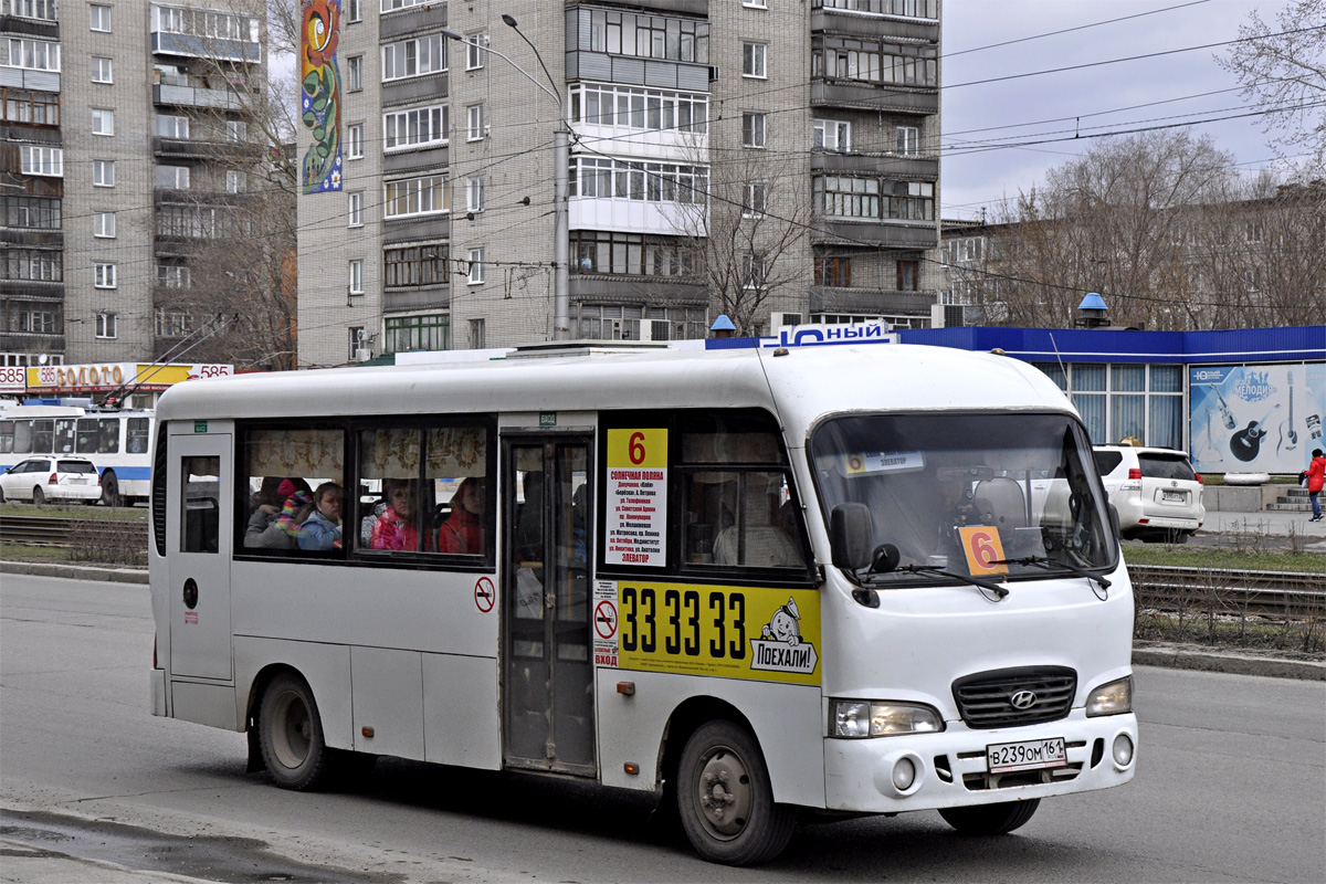 Алтайский край, Hyundai County LWB (ТагАЗ) № В 239 ОМ 161