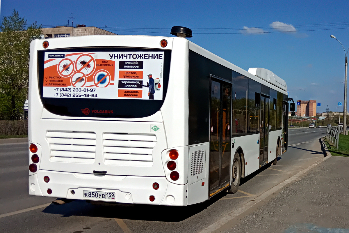 Пермский край, Volgabus-5270.G2 (CNG) № К 850 УВ 159