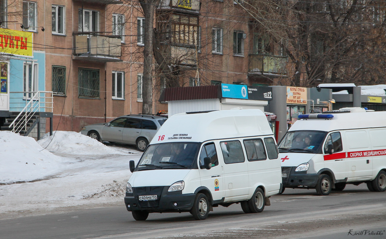 Novosibirsk region, Luidor-225000 (GAZ-322133) # С 404 МВ 154