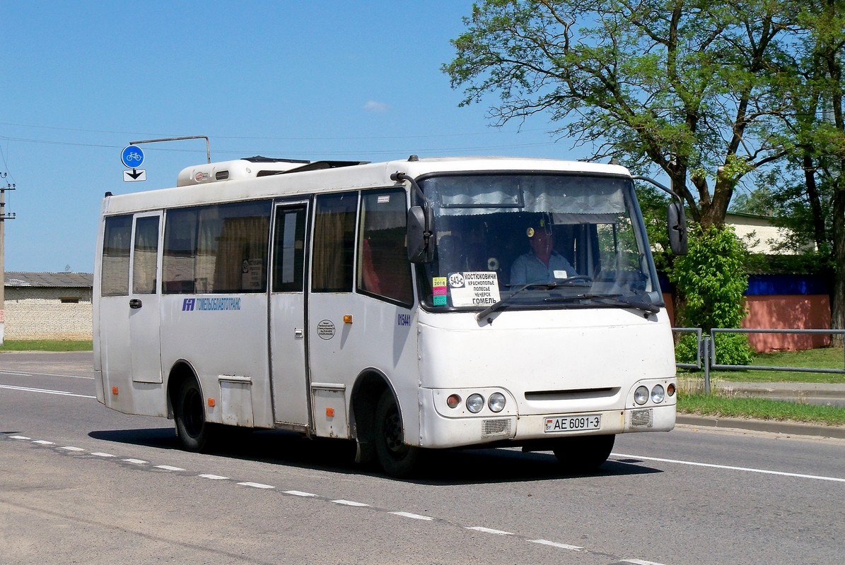 Гомельская область, ГАРЗ А09212 "Радимич" № 015441