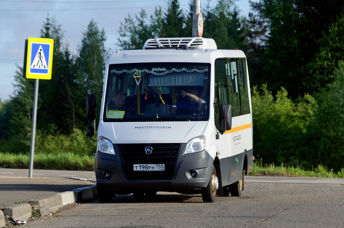 Московская область, Луидор-2250DS (ГАЗ Next) № 095055