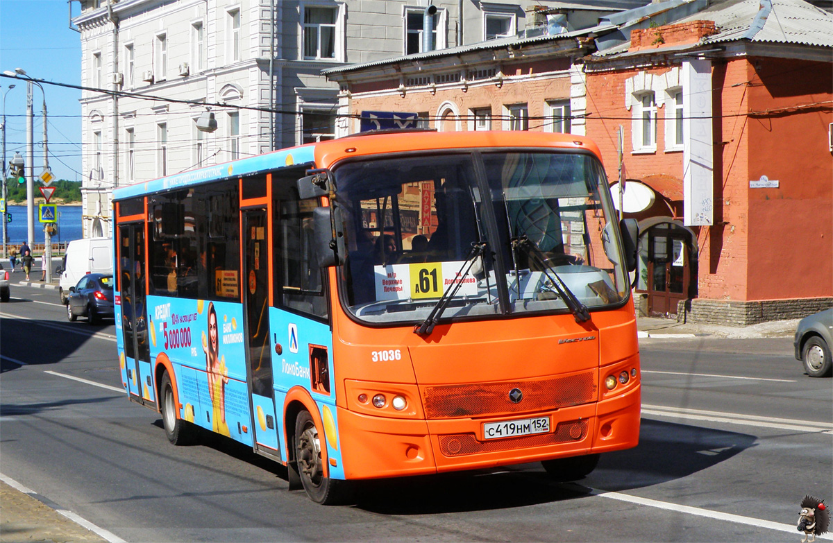 Нижегородская область, ПАЗ-320414-04 "Вектор" № 31036