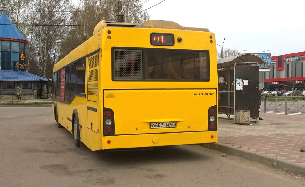 Ленинградская область, МАЗ-103.586 № О 687 ТМ 47