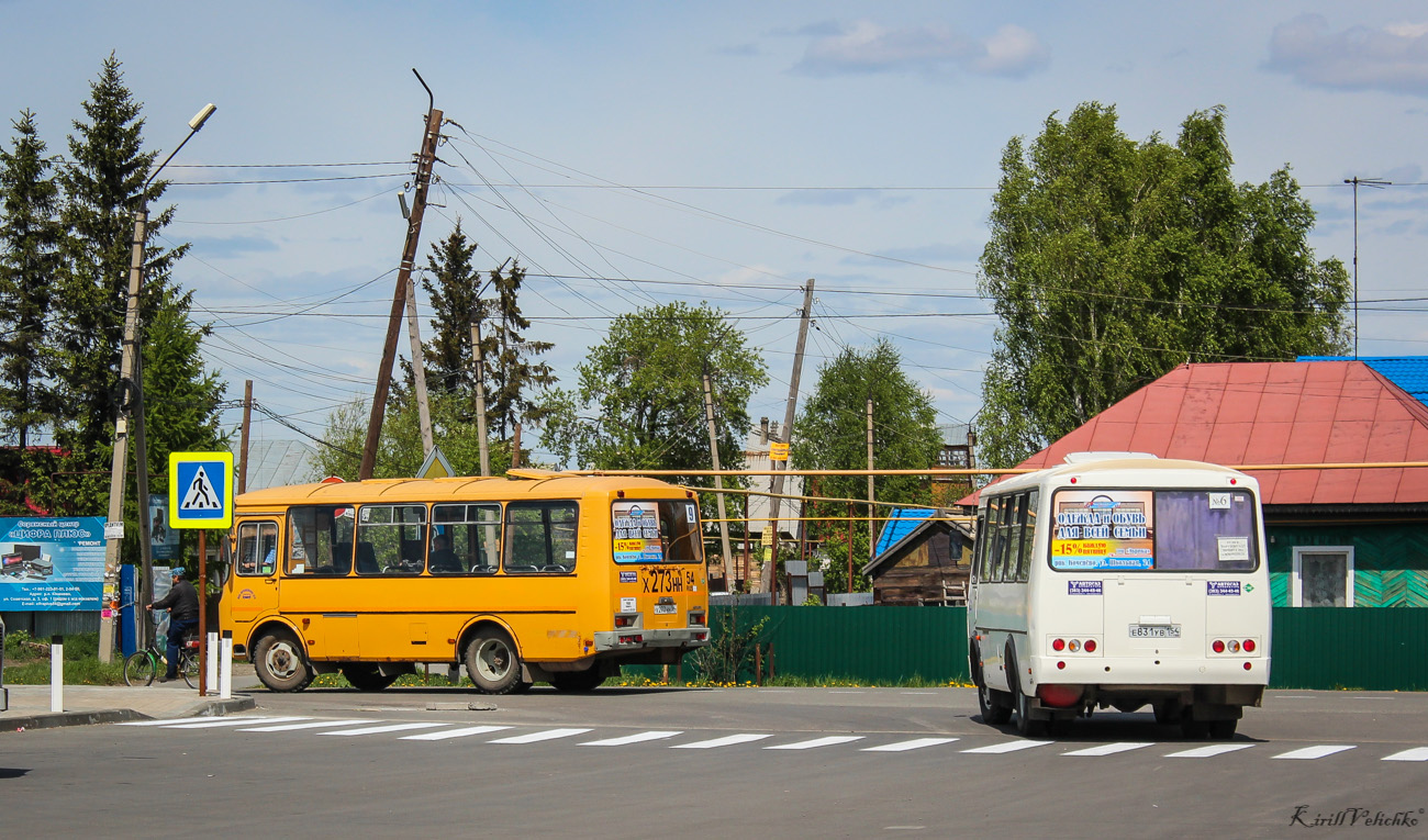 Новосибирская область, ПАЗ-32053-70 № Х 273 НН 54; Новосибирская область, ПАЗ-32054 № Е 831 УВ 154