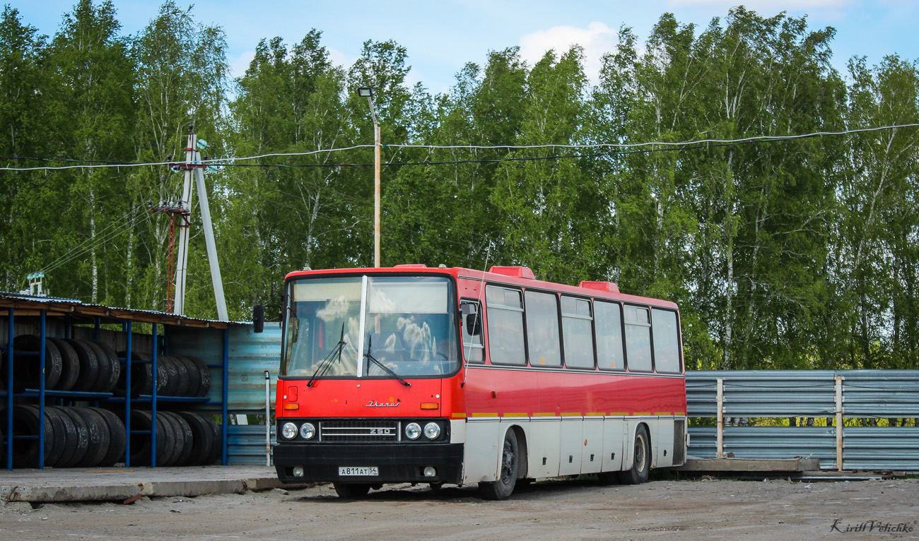 Novosibirsk region, Ikarus 250.93 # А 811 АТ 54