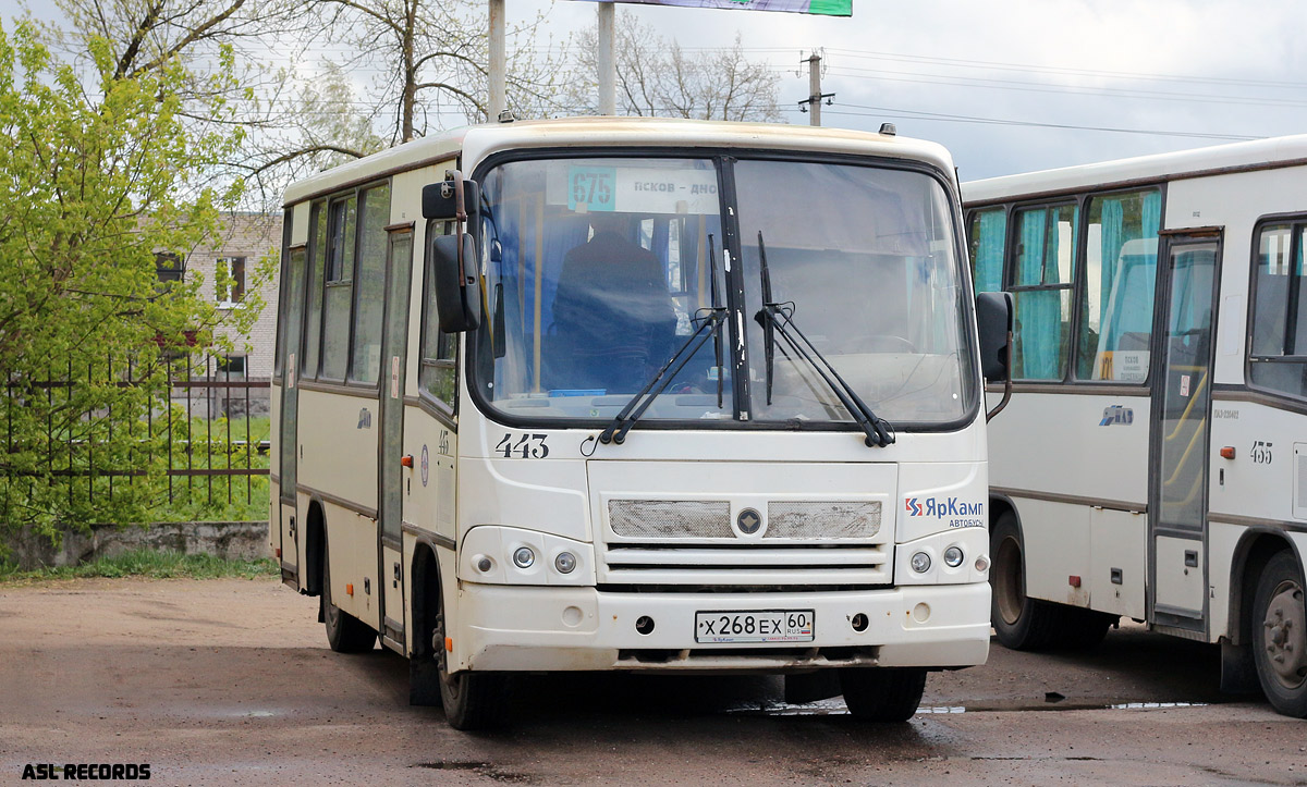 Псковская область, ПАЗ-320402-05 № 443