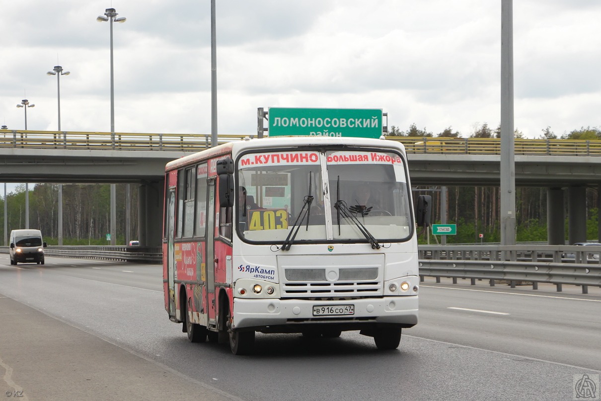 Ленинградская область, ПАЗ-320402-05 № В 916 СО 47