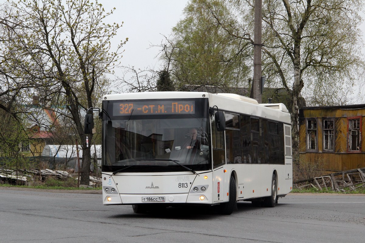 Санкт-Петербург, МАЗ-203.085 № 8113