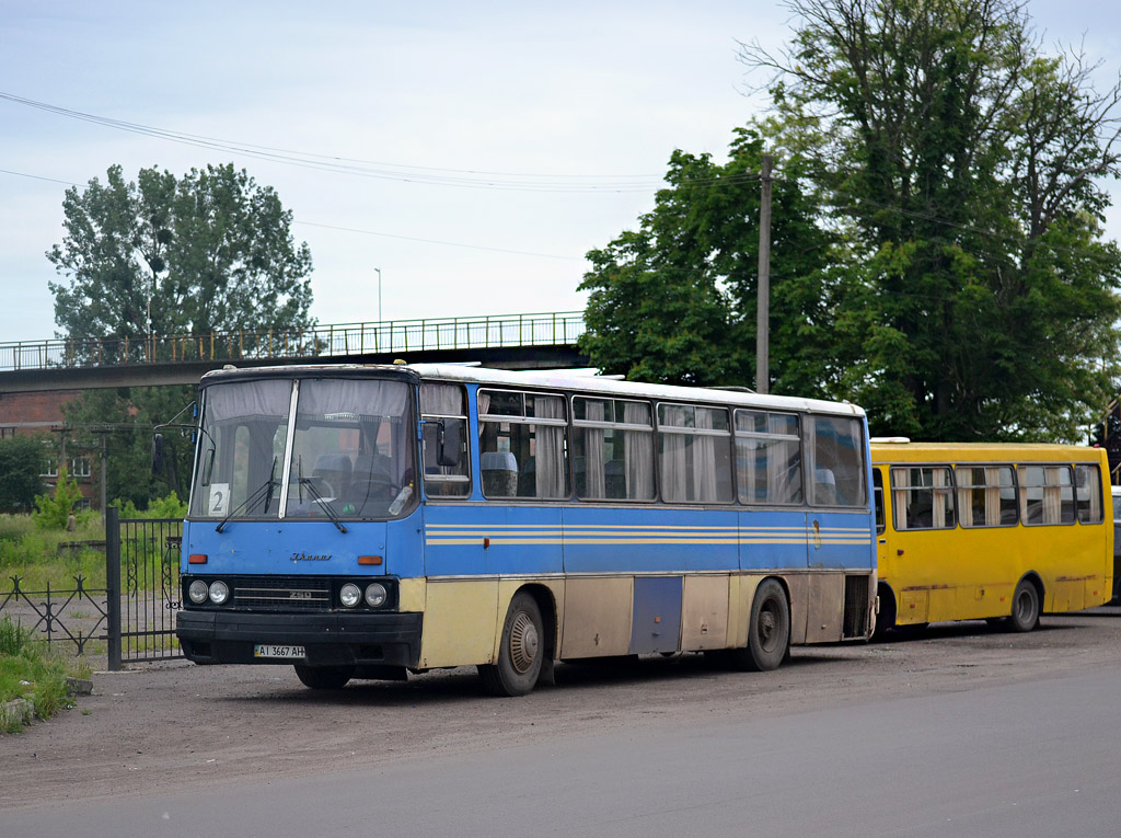 Львовская область, Ikarus 256.51 № AI 3667 AH