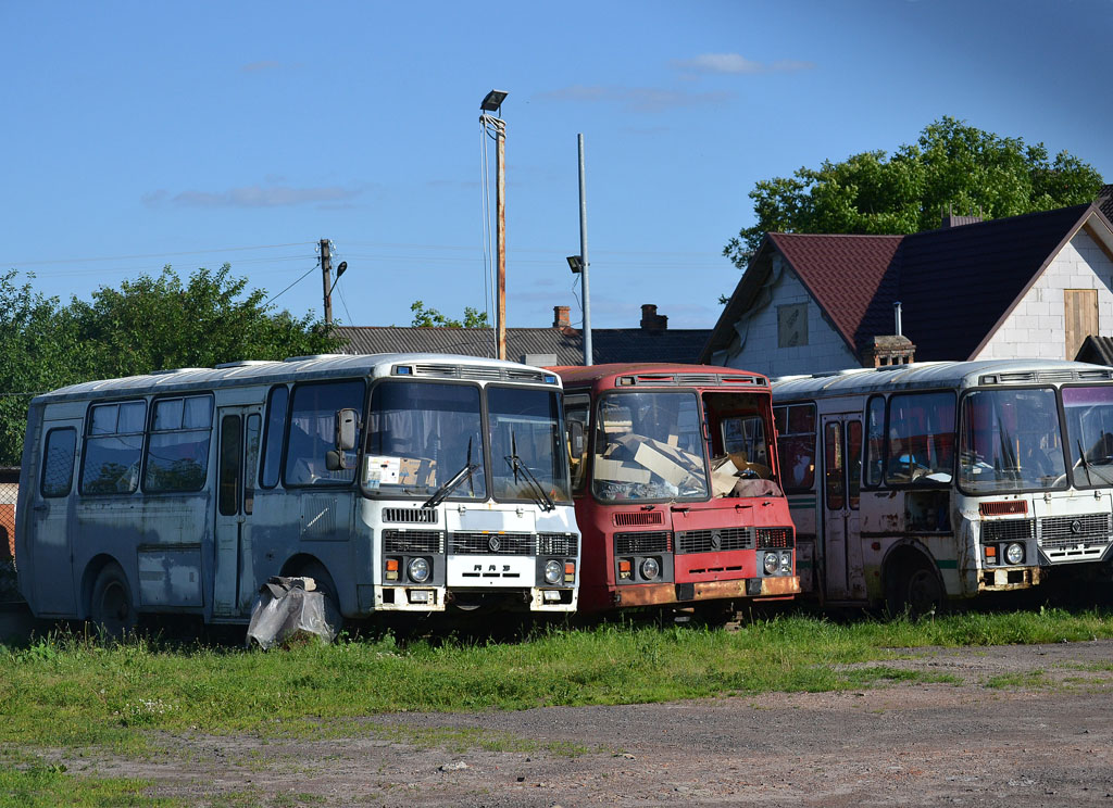 Волынская область, ПАЗ-3205 (00) № AC 9571 AI; Волынская область — Автобусы без номеров