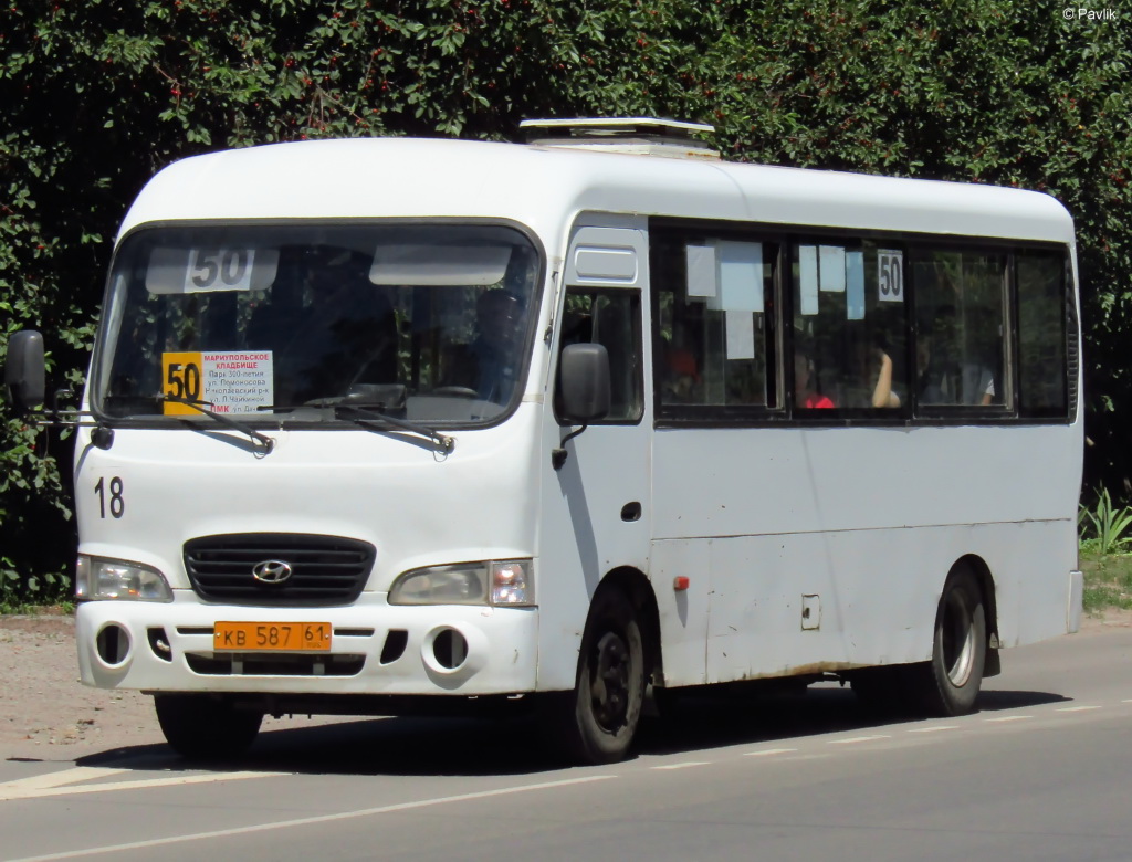 Ростовская область, Hyundai County LWB C10 (ТагАЗ) № 18