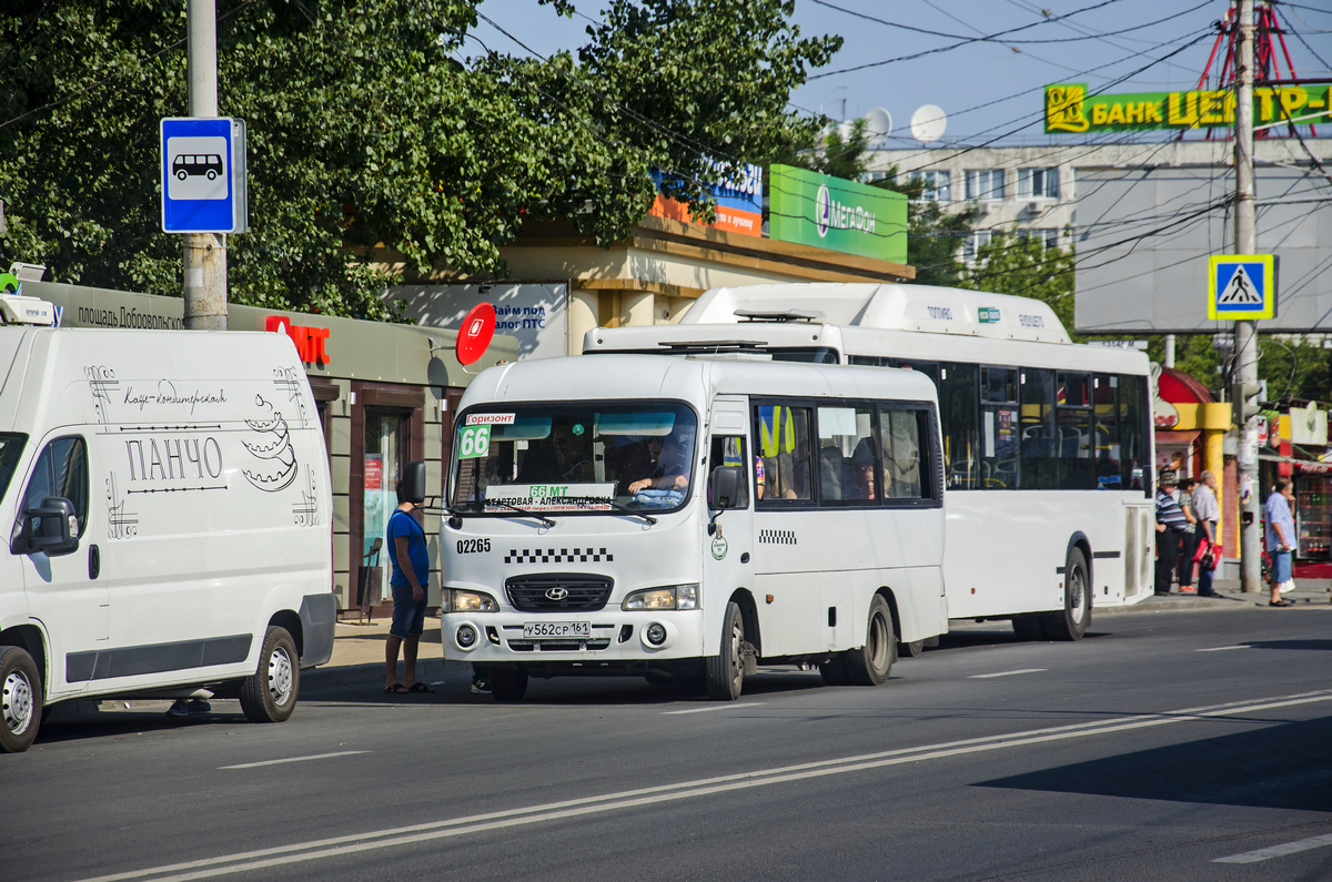 Растоўская вобласць, Hyundai County SWB C08 (ТагАЗ) № 002265