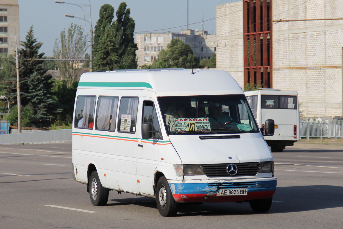 Днепропетровская область, Mercedes-Benz Sprinter W903 312D № AE 8825 BH