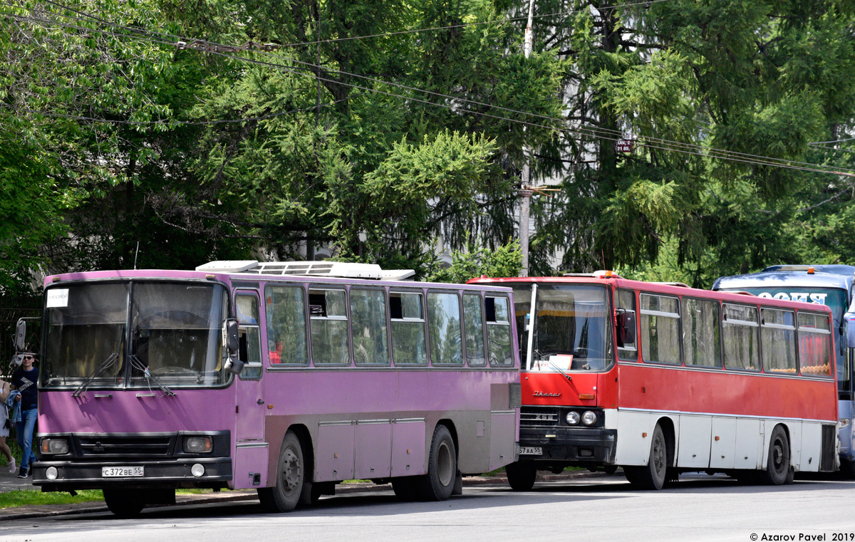 Омская область, TAM-190A110T № С 372 ВЕ 55; Омская область, Ikarus 256 № М 057 АА 55; Омская область — Разные фотографии