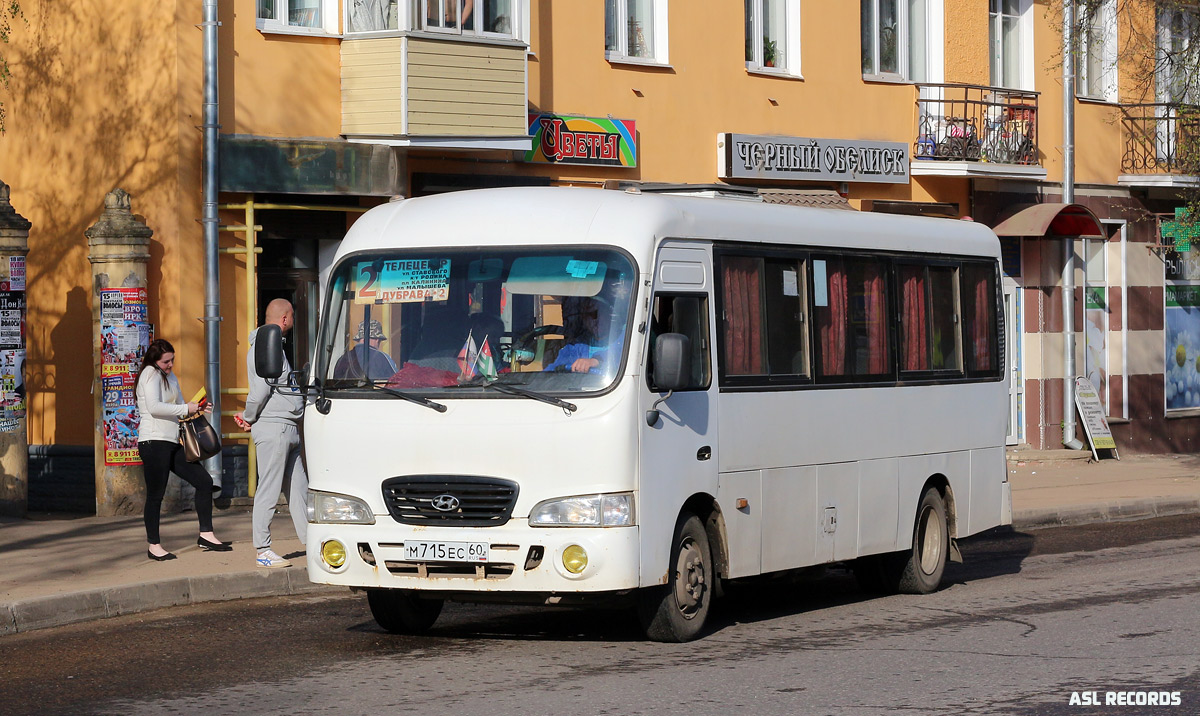 Псковская область, Hyundai County LWB C09 (ТагАЗ) № М 715 ЕС 60