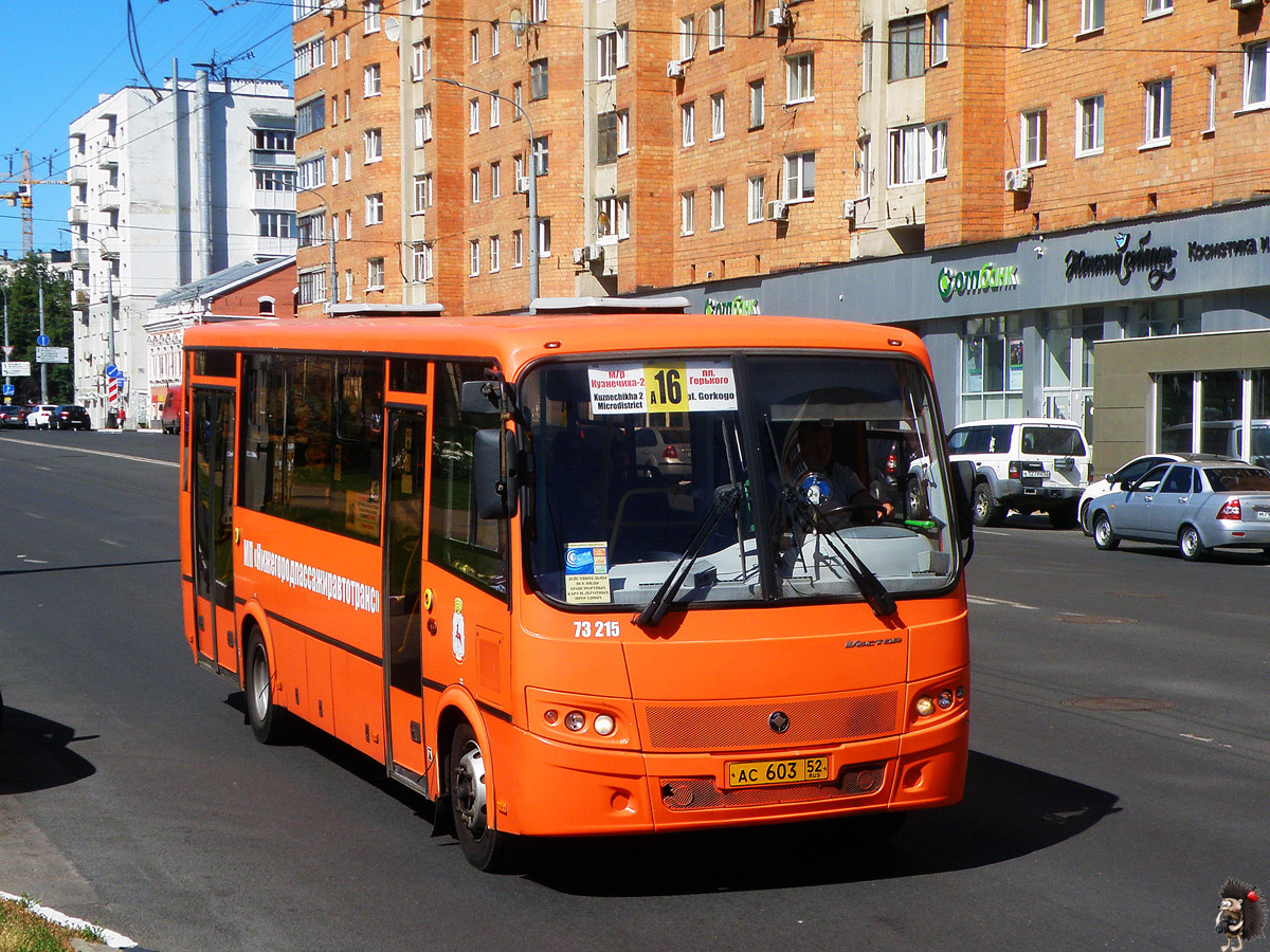 Нижегородская область, ПАЗ-320414-05 "Вектор" (1-2) № 73215