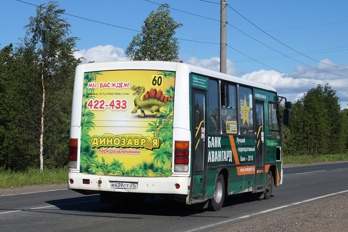 Архангельская область, ПАЗ-320302-08 № М 439 СТ 29