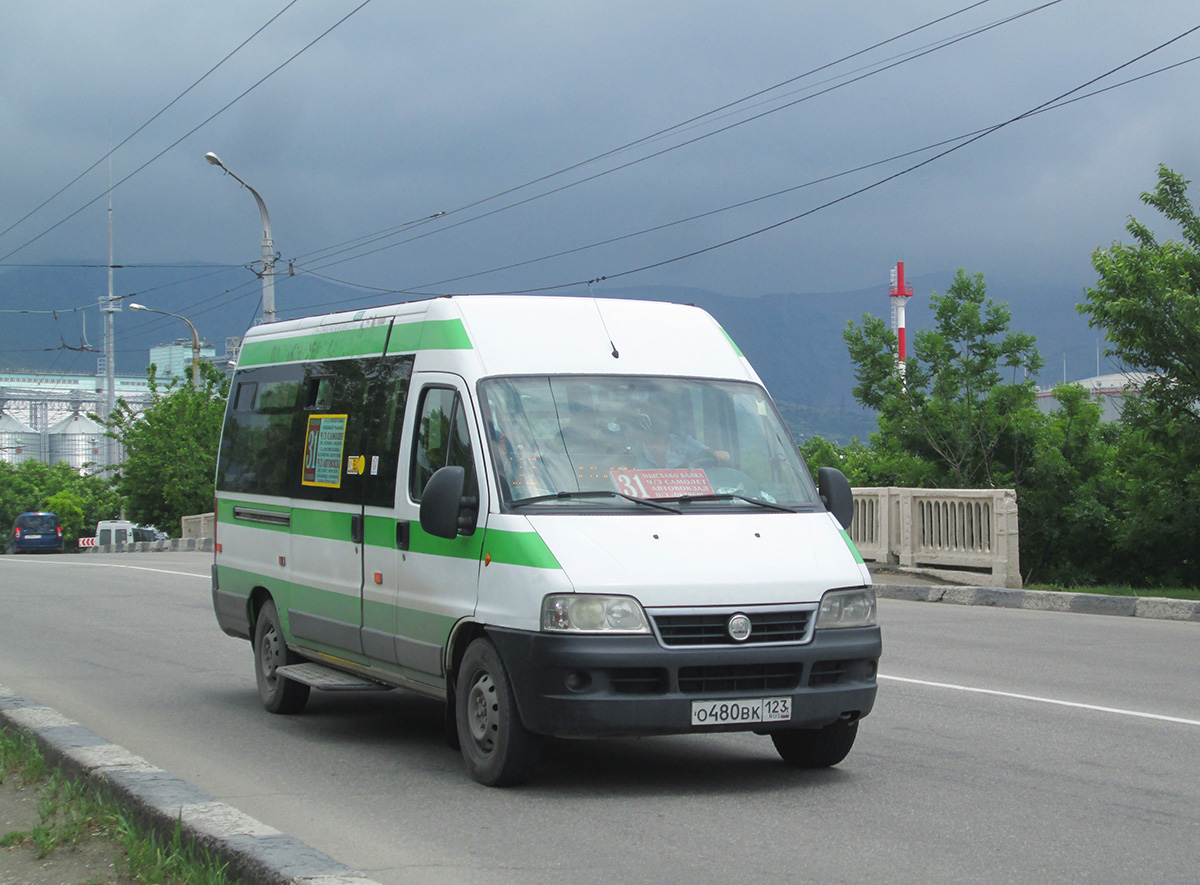 Краснодарский край, FIAT Ducato 244 CSMMC-RLL, -RTL № О 480 ВК 123