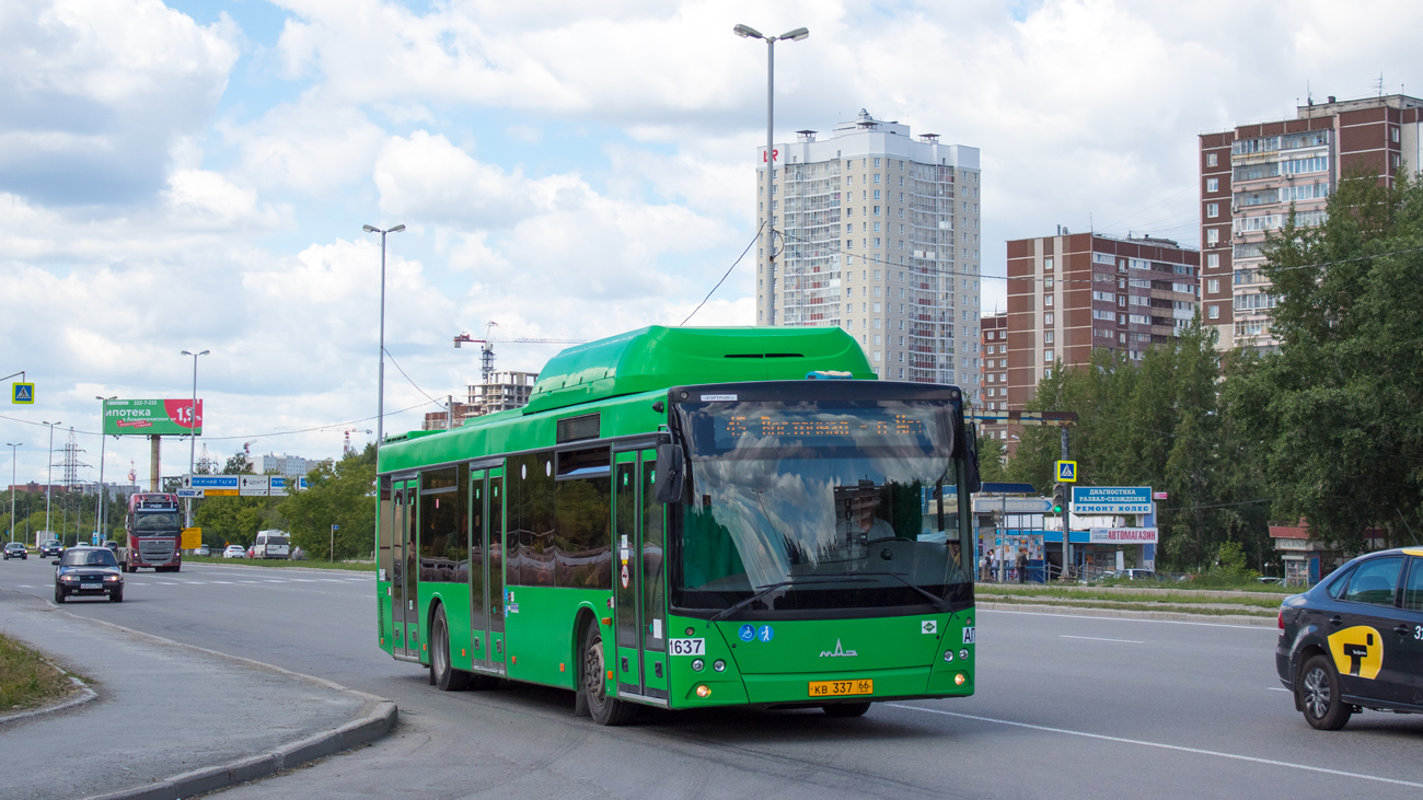 Свердловская область, МАЗ-203.L65 № 1637