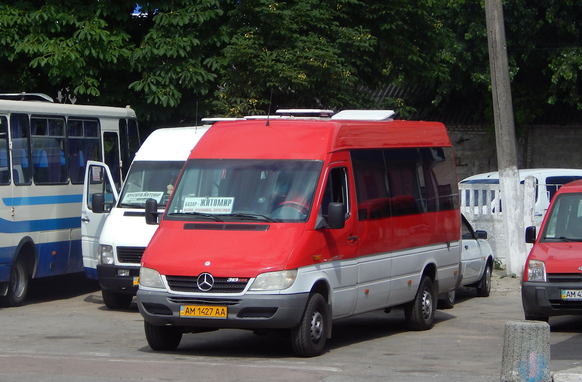 Житомирская область, Mercedes-Benz Sprinter W903 313CDI № AM 1427 AA