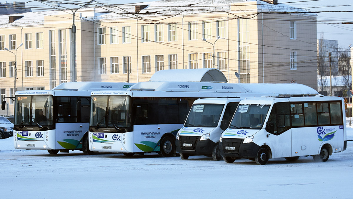 Omsk region, Luidor-2250DS (GAZ Next) # 499; Omsk region — Bus stops