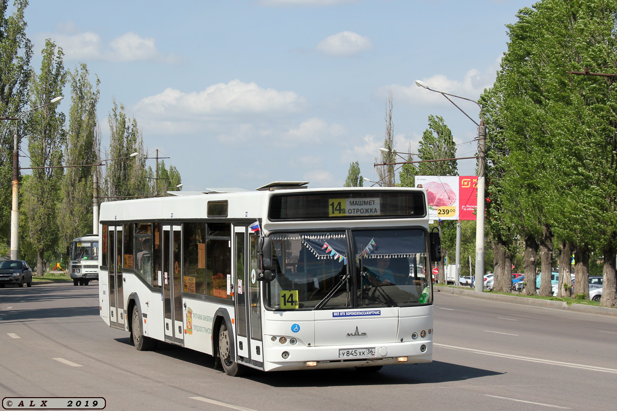 Воронежская область, МАЗ-103.469 № У 845 ХК 36