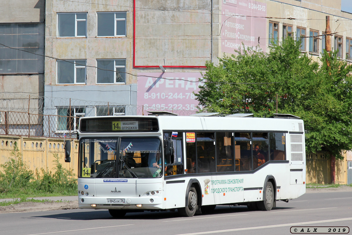 Воронежская область, МАЗ-103.469 № У 845 ХК 36