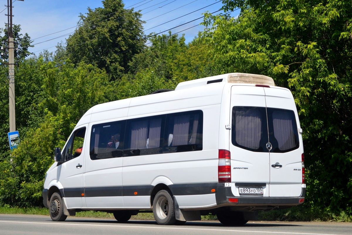 Пермский край, Луидор-223602 (MB Sprinter) № Е 893 УО 159