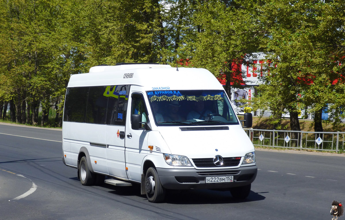 Нижегородская область, Луидор-223205 (MB Sprinter Classic) № Н 222 ВМ 152