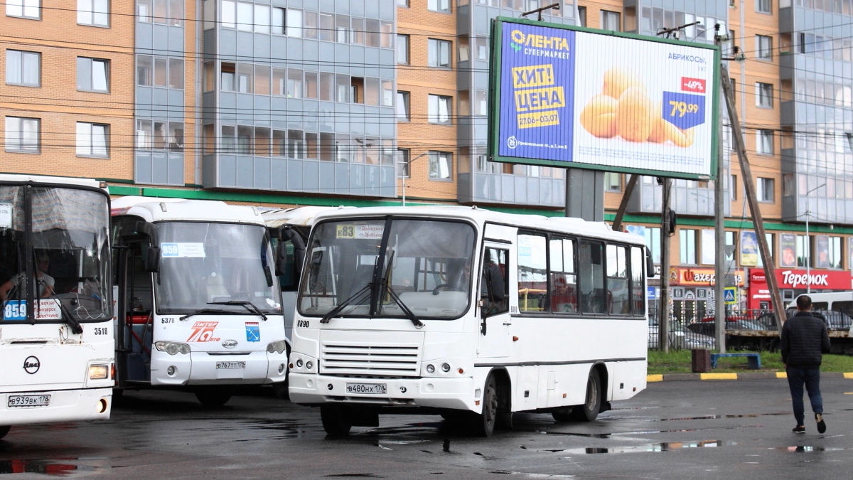 Sankt Petersburg, PAZ-320402-05 Nr 8890